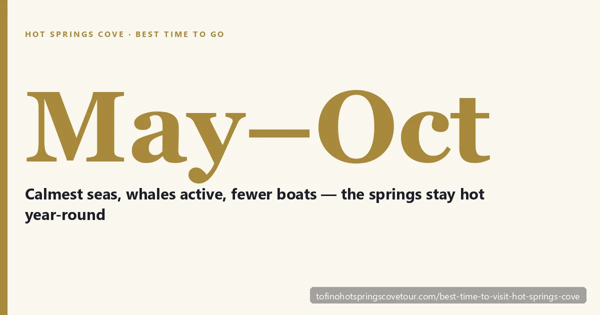 Best time to visit Hot Springs Cove from Tofino — Clayoquot Sound whale watching season