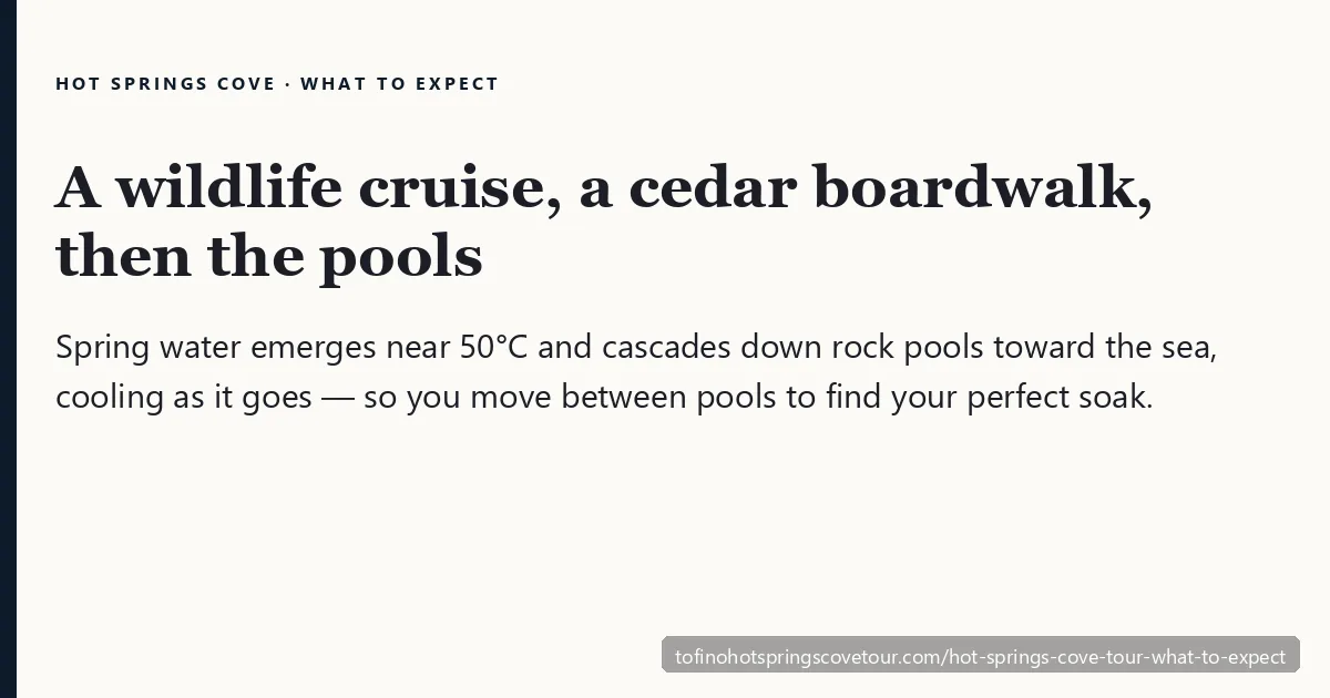 Hot Springs Cove tour what to expect — cedar boardwalk and cascading geothermal pools near Tofino